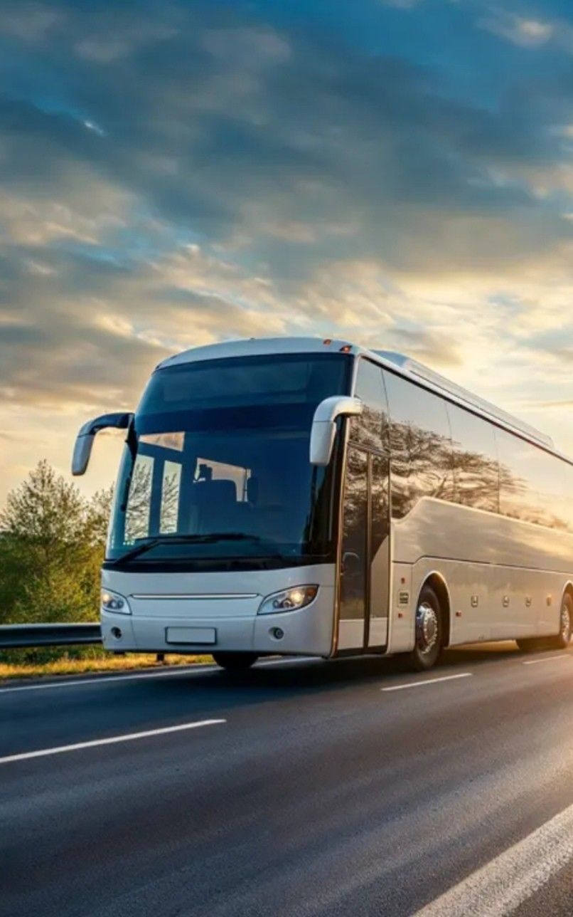 Buses & Coaches
